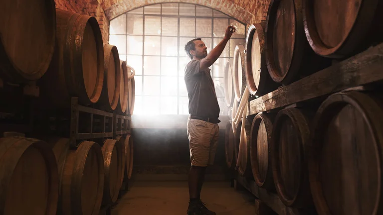 Man inspecting wine barrels in a dimly lit cellar.