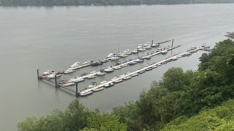 Boats docked at a marina on a wide river, with green trees in the foreground.