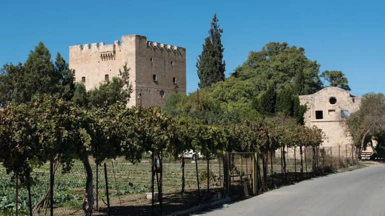 Stone castle and building surrounded by trees and vines under a clear blue sky.