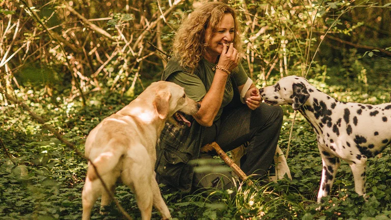 Woman crouching in a sunlit forest, smiling at a Labrador and a Dalmatian.