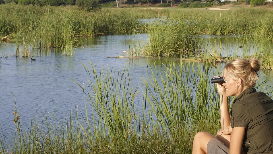 Two people sit by a marsh, one using binoculars to observe wildlife.