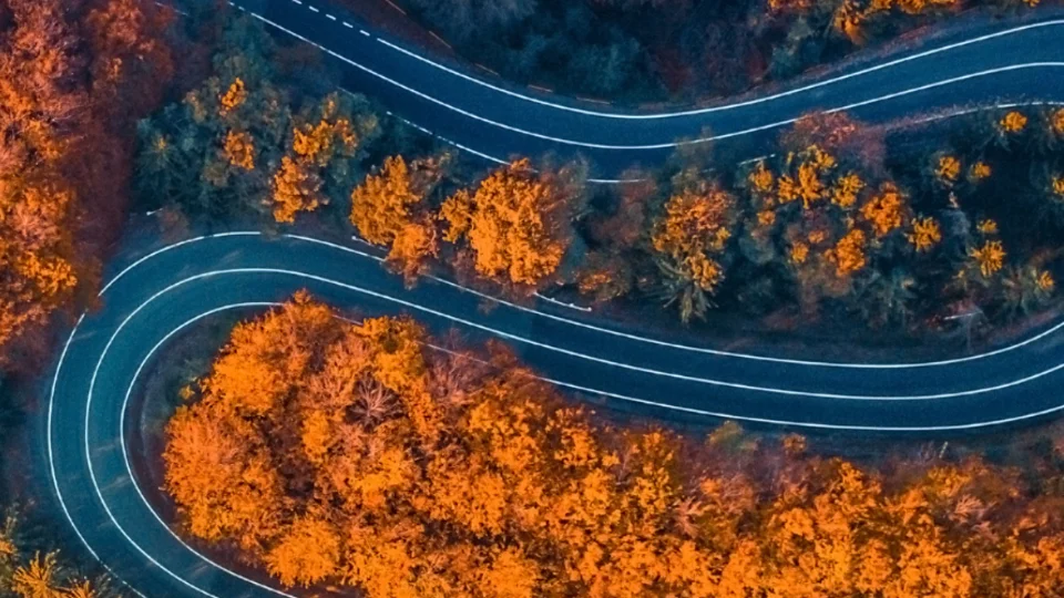 Winding road through dense autumn forest with vibrant orange foliage, seen from above.