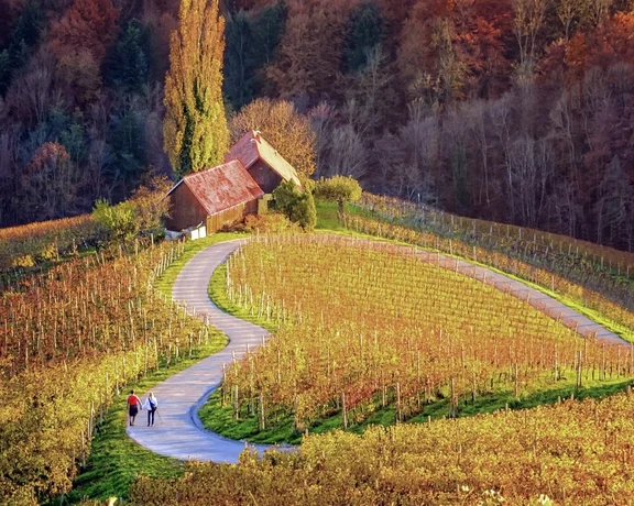 Heart shaped wine road in Slovenia