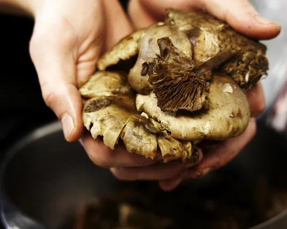 The New Nordic Cuisine & Kitchen Manifesto, Denmark