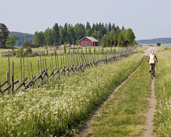 A women riding thought the countryside and meadow in Finland.