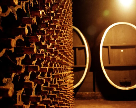 Croatian historic wine cellars