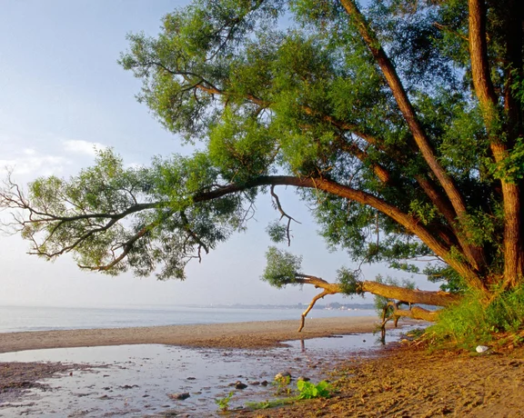 Poland’s Scenic Shores