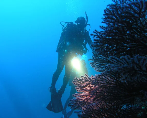 Scuba Diving in Croatia