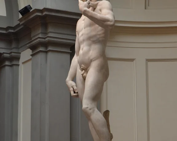 Statue of David,  Academy in Florence
