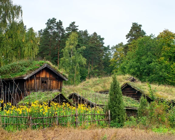 Traditional Norwegian House with grass roof