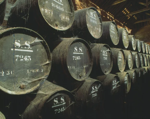 Caves de vinho em Azeitão, Portugal