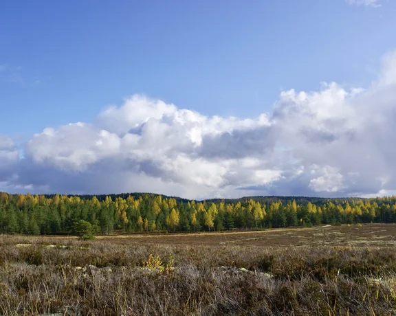 ETC_WebsiteContent_InfluencerExperience_Estonia