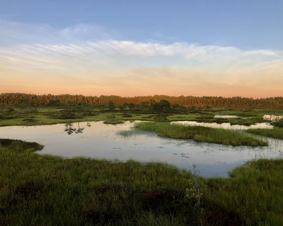 ETC_WebsiteContent_InfluencerExperience_Estonia