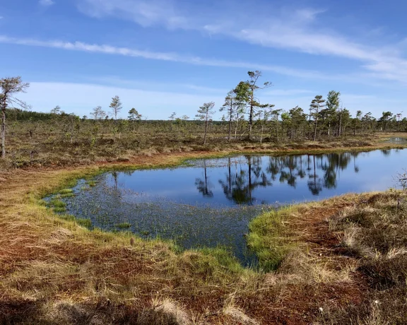 ETC_WebsiteContent_InfluencerExperience_Estonia