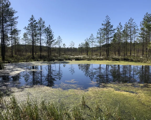 ETC_WebsiteContent_InfluencerExperience_Estonia