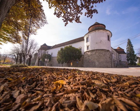 F007735-001_jesen_v_sloveniji_iztok_medja_brezice-photo-m