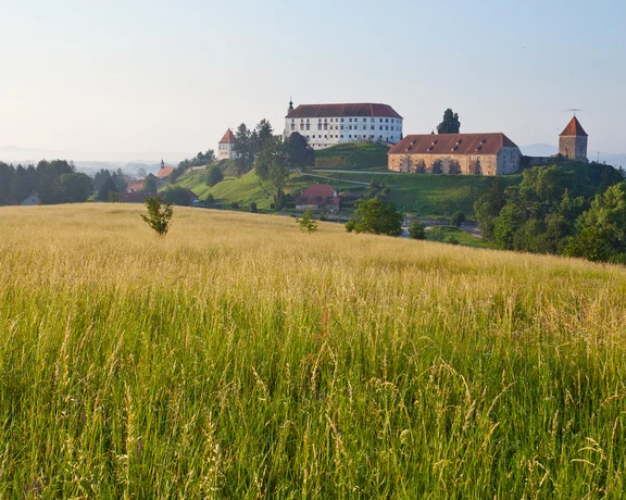 F008201-ptuj_jost_gantar_9_orig_jpg-photo-m