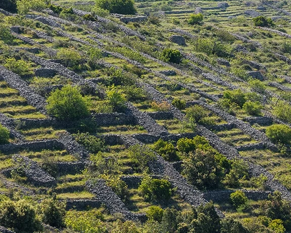 Hvar