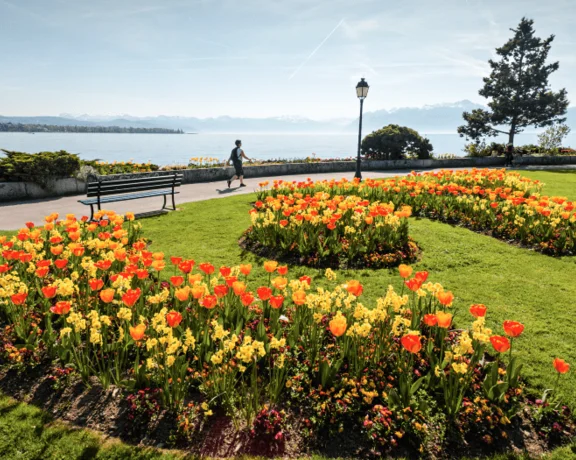 Catch spring abloom at the Morges Tulip Festival