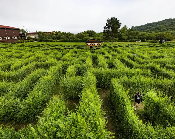 Stará Ľubovňa, Slovakia