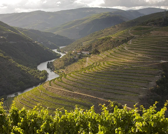 Douro Valley, Portugal.