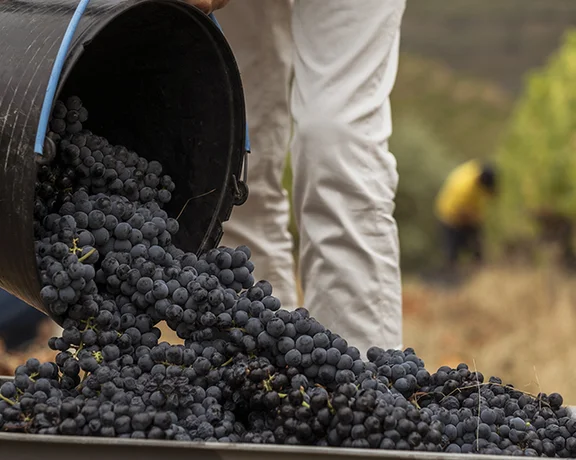 Douro, Portugal