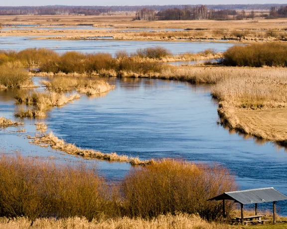 Spot indigenous wildlife at Biebrzański National Park