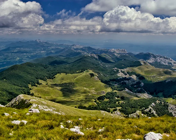 Ascend to the top of Sveto Brdo for a breathtaking panorama