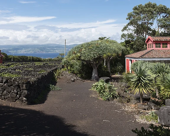 Pico Island offers many interesting sites