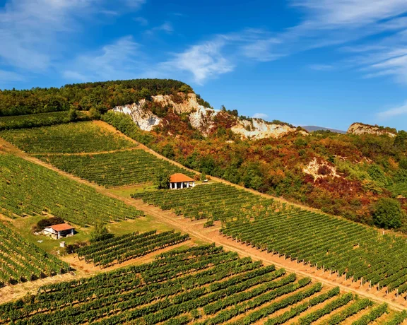 Tokaj, Hungary.