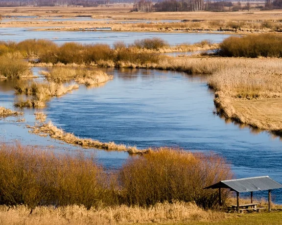 Paddle serenly through the Biebrza Marshes in Biebrzański National Park