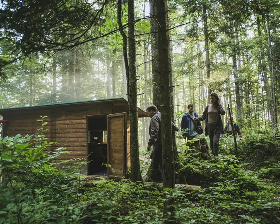 Have an unforgettable adventure in the forest