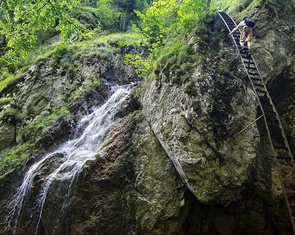 Experience a true wonderland of exceptional botanical diversity and thundering waterfalls in Paradise National Park