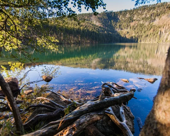 Take in Black Lake, the largest natural lake in the National park Šumava