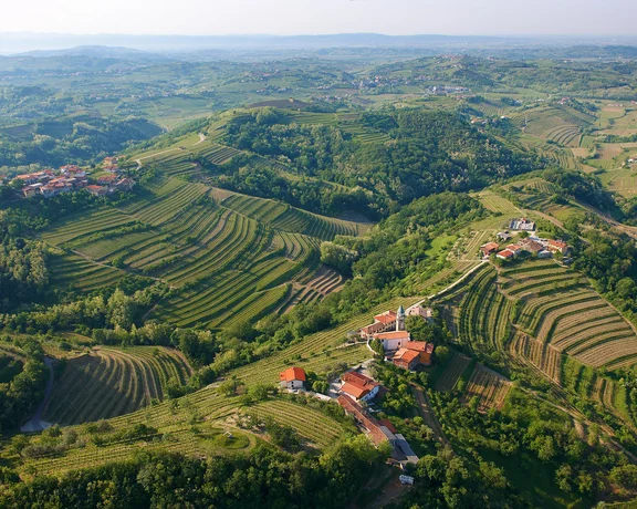 Goriska Brda in Slovenia.