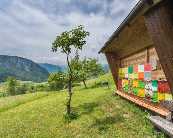 Cebelnjak, Bohinj ©jost gantar