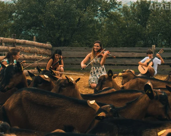 Have you ever attended a violin and guitar concert in a goat shelter? You can at ARLEMM!