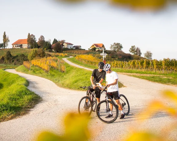 biking through the lush hills and varied scenery of Mestni.