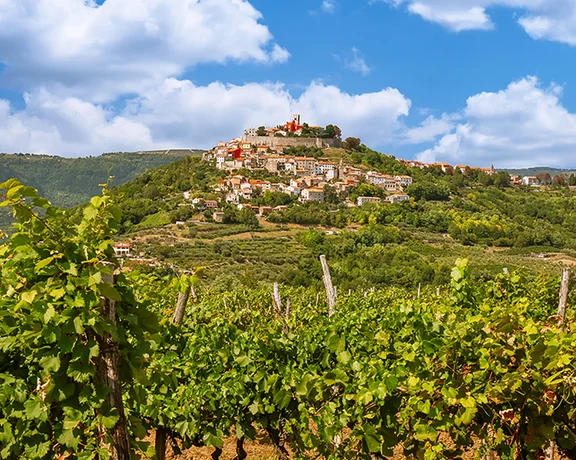 intriguing Motovun
