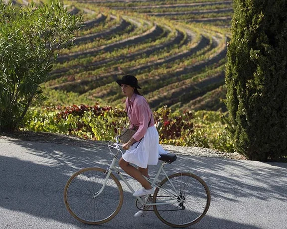 vineyards of Ventozelo by bike