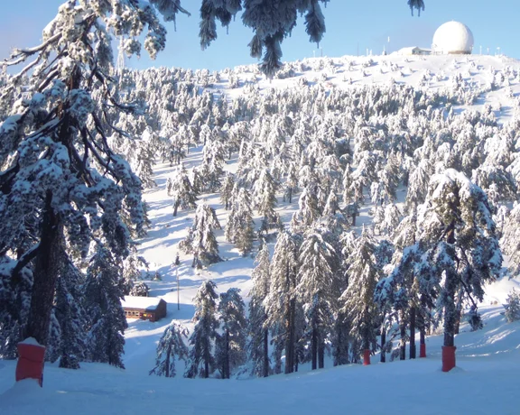 A snowy wonderland awaits in the Troodos Mountains.
