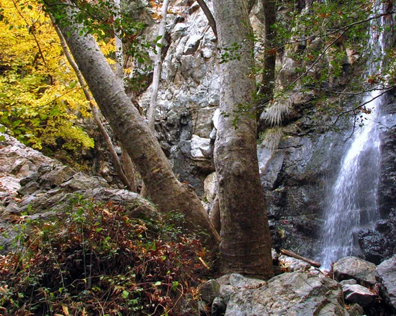Soothe your soul with the calming sound of the Kalidonia Waterfalls in Platres.