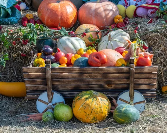 Meet pumpkin friends you didn't know you had at the Troja botanical garden pumpkin fest in Prague.
