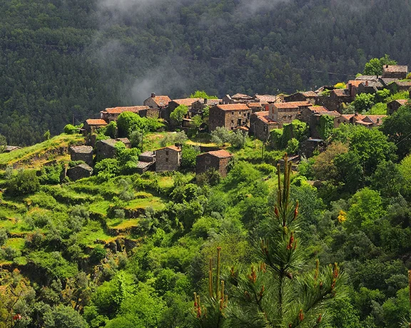 Rustic stone houses in a green forested hillside with mist in the background.