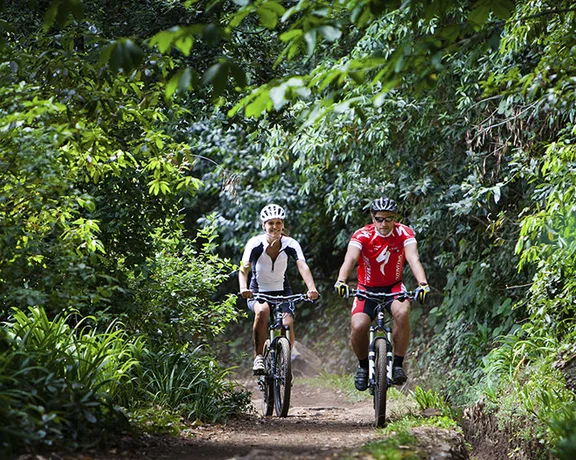 Two cyclists riding on a forest trail surrounded by lush greenery.