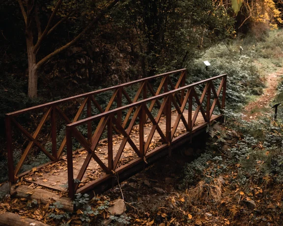 A rustic metal bridge over a creek in a forest setting with dappled sunlight.