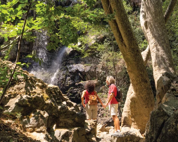 Two hikers near a small waterfall in a lush forest setting.