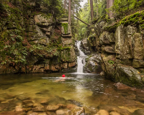 Person swimming in a forest creek with a small waterfall and moss-covered rocks.