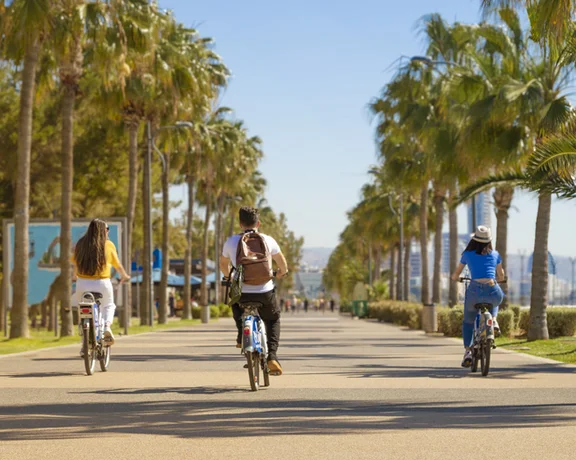 Three cyclists ride along a sunny, palm-lined pathway, enjoying a vibrant day outdoors in Limassol.