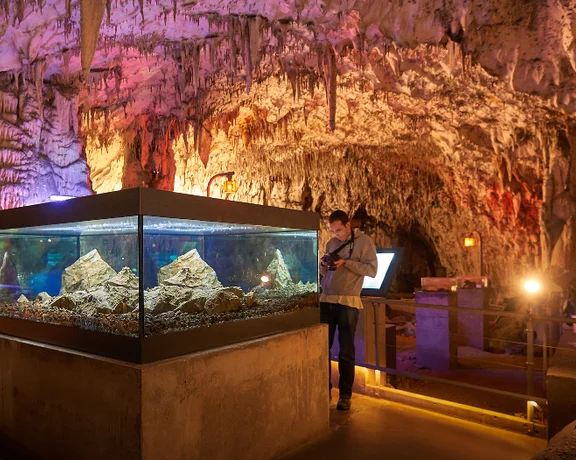 An illuminated cave displays a large aquarium with stones, while colorful rock formations and a visitor can be seen nearby.